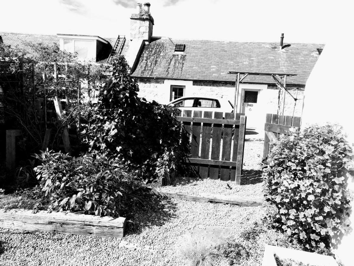6 Seatown, Lossiemouth Bagian luar foto
